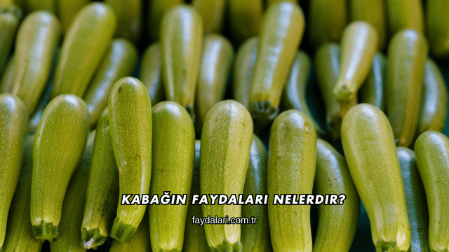 Kabağın Faydaları Nelerdir?