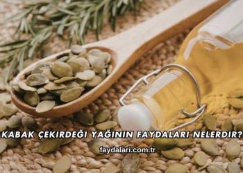 Kabak Çekirdeği Yağının Faydaları Nelerdir?