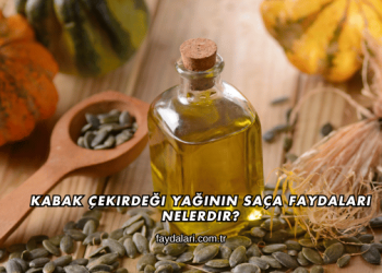 Kabak Çekirdeği Yağının Saça Faydaları Nelerdir?