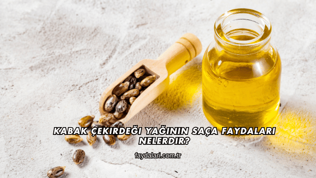 Kabak Çekirdeği Yağının Saça Faydaları Nelerdir?