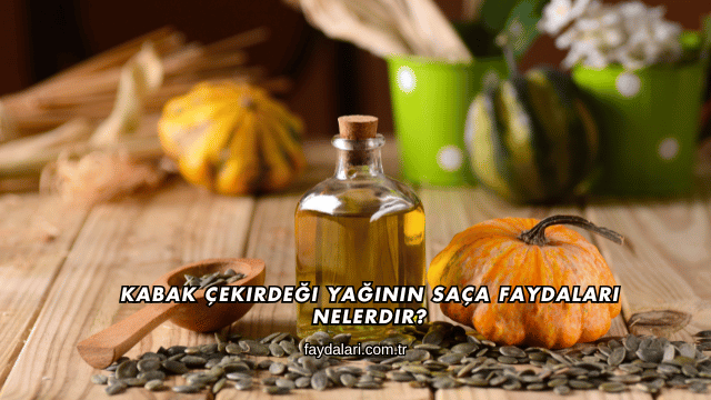 Kabak Çekirdeği Yağının Saça Faydaları Nelerdir?