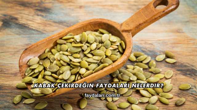 Kabak Çekirdeğin Faydaları Nelerdir?