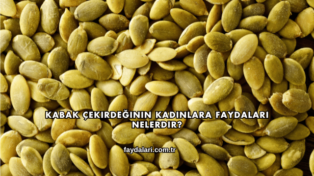 Kabak Çekirdeğinin Kadınlara Faydaları Nelerdir?