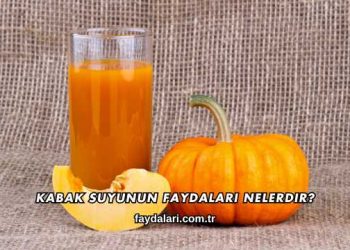 Kabak Suyunun Faydaları Nelerdir?