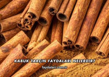 Kabuk Tarçın Faydaları Nelerdir?