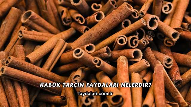 Kabuk Tarçın Faydaları Nelerdir?