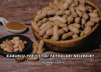 Kabuklu Yer Fıstığı Faydaları Nelerdir?