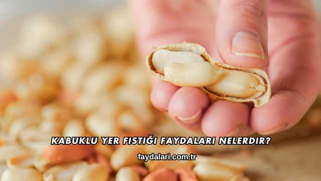 Kabuklu Yer Fıstığı Faydaları Nelerdir?