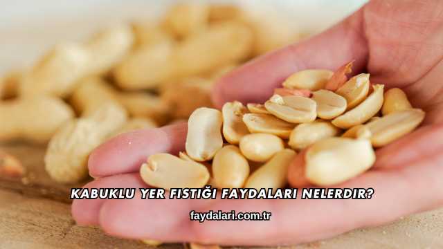 Kabuklu Yer Fıstığı Faydaları Nelerdir?