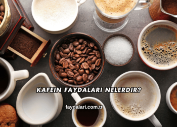 Kafein Faydaları Nelerdir?