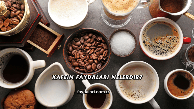 Kafein Faydaları Nelerdir?