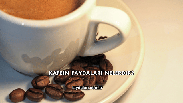 Kafein Faydaları Nelerdir?