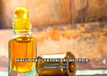 Kafur Yağı Faydaları Nelerdir?
