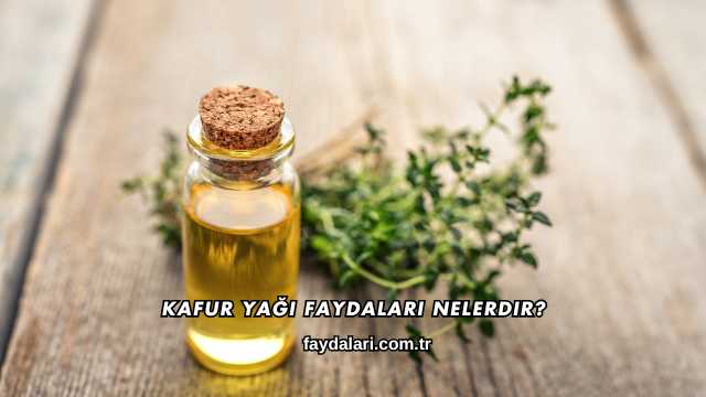 Kafur Yağı Faydaları Nelerdir?