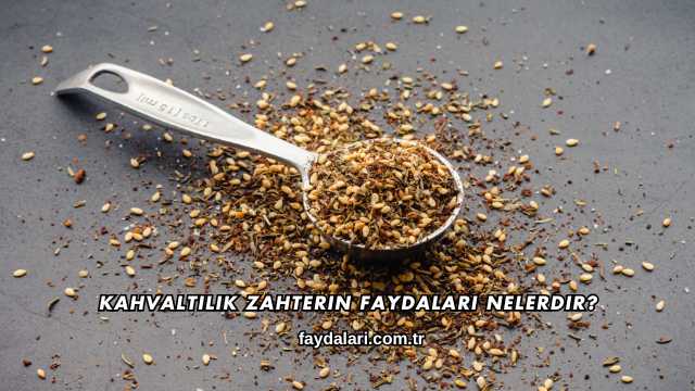 Kahvaltılık Zahterin Faydaları Nelerdir?