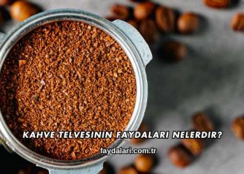 Kahve Telvesinin Faydaları Nelerdir?