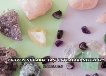 Kahverengi Akik Taşı Faydaları Nelerdir?