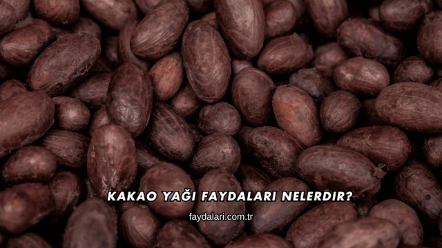 Kakao Yağı Faydaları Nelerdir?