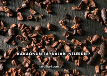 Kakaonun Faydaları Nelerdir?