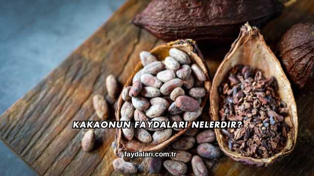 Kakaonun Faydaları Nelerdir?