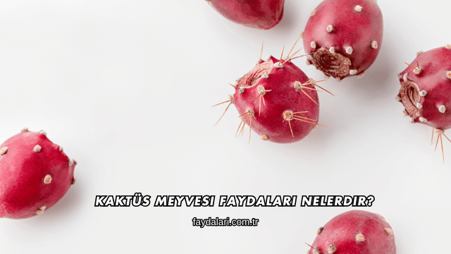 Kaktüs Meyvesi Faydaları Nelerdir?