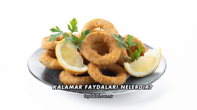 Kalamar Faydaları Nelerdir?