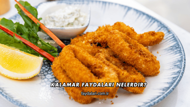 Kalamar Faydaları Nelerdir?