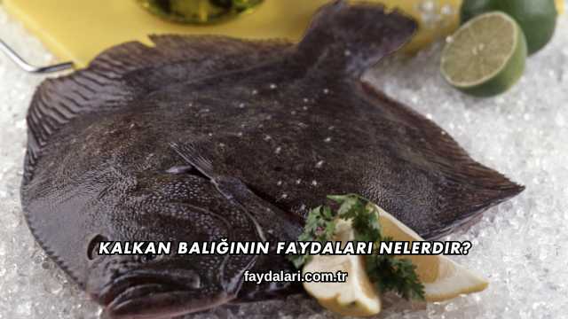 Kalkan Balığının Faydaları Nelerdir?