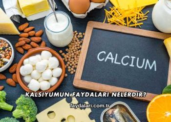 Kalsiyumun Faydaları Nelerdir?