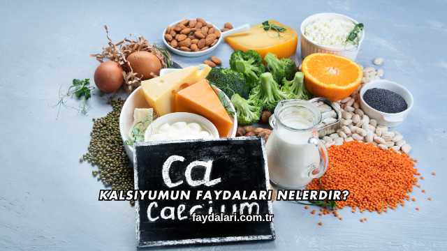 Kalsiyumun Faydaları Nelerdir?