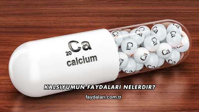 Kalsiyumun Faydaları Nelerdir?