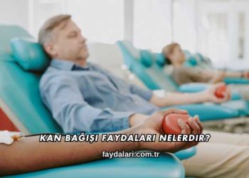 Kan Bağışı Faydaları Nelerdir?