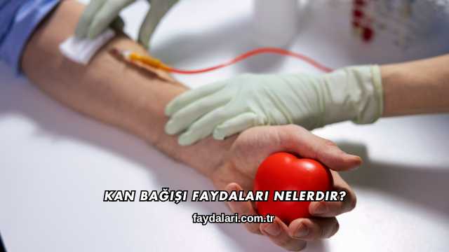 Kan Bağışı Faydaları Nelerdir?