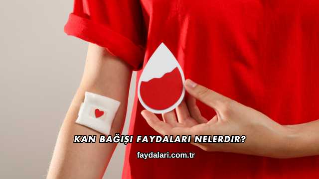 Kan Bağışı Faydaları Nelerdir?