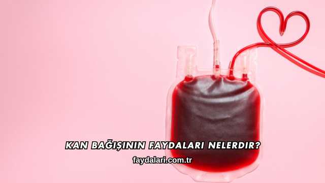 Kan Bağışının Faydaları Nelerdir?