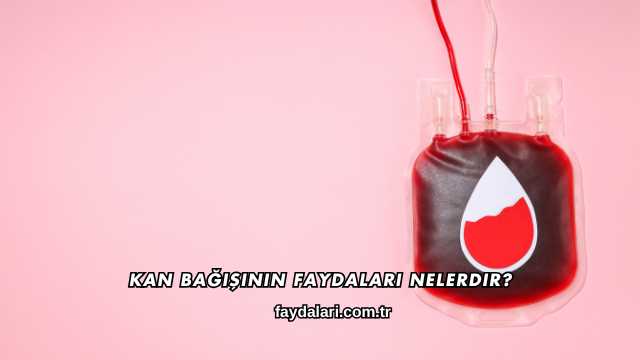 Kan Bağışının Faydaları Nelerdir?