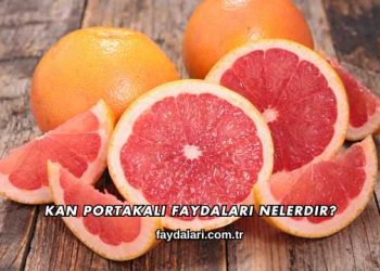 Kan Portakalı Faydaları Nelerdir?