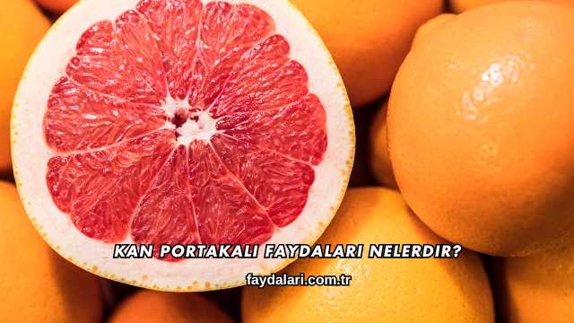 Kan Portakalı Faydaları Nelerdir?