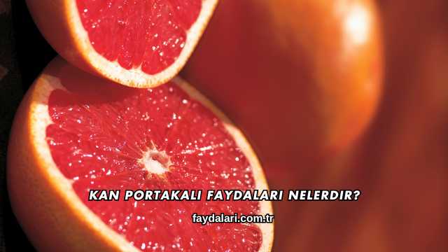 Kan Portakalı Faydaları Nelerdir?
