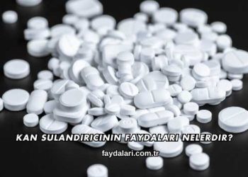 Kan Sulandırıcının Faydaları Nelerdir?