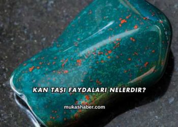 Kan Taşı Faydaları Nelerdir?
