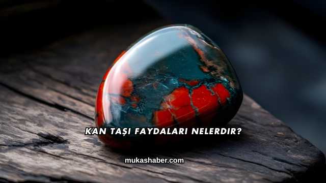 Kan Taşı Faydaları Nelerdir?