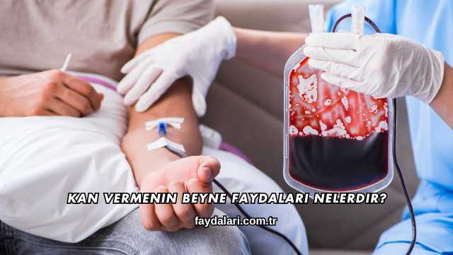 Kan Vermenin Beyne Faydaları Nelerdir?