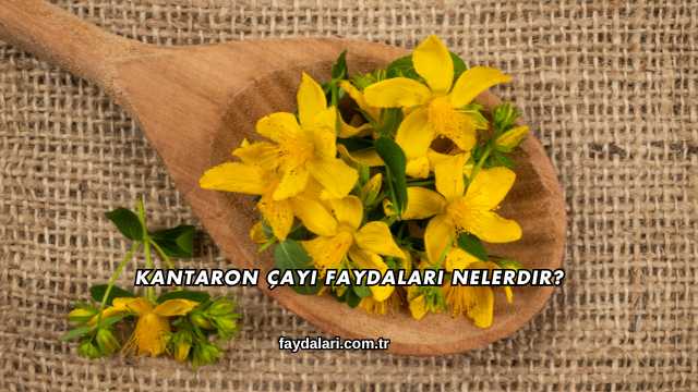 Kantaron Çayı Faydaları Nelerdir?
