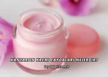 Kantaron Kremi Faydaları Nelerdir?