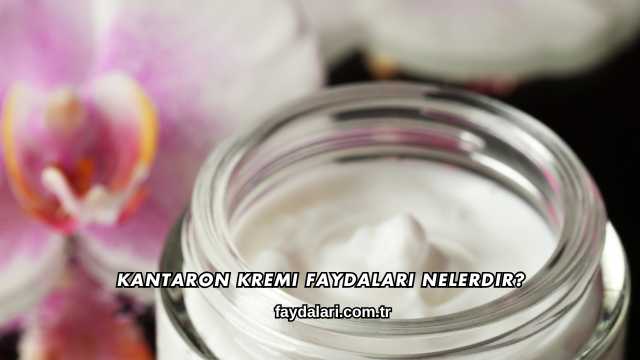 Kantaron Kremi Faydaları Nelerdir?