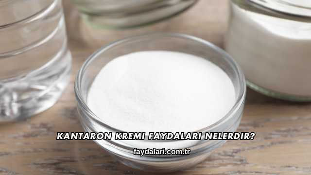 Kantaron Kremi Faydaları Nelerdir?