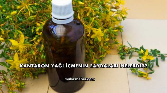 Kantaron Yağı İçmenin Faydaları Nelerdir?