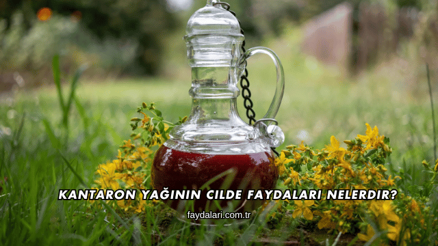 Kantaron Yağının Cilde Faydaları Nelerdir?