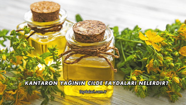 Kantaron Yağının Cilde Faydaları Nelerdir?